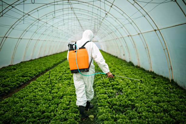 Pest Control Cost in Mystic Island, NJ