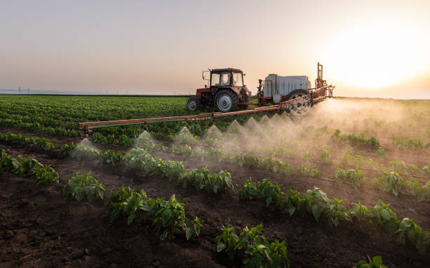 Best Mosquito Control Services  in Mystic Island, NJ