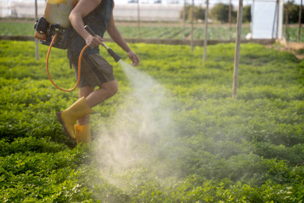 Best Wasp Removal Services  in Mystic Island, NJ