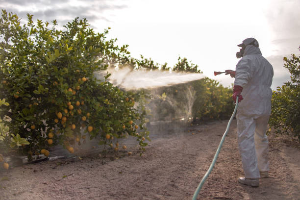Best Pest Control Cost  in Mystic Island, NJ