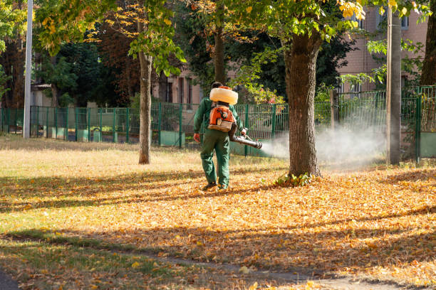 Best Flea Control Services  in Mystic Island, NJ