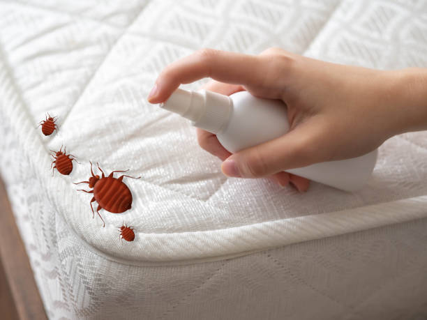 Mystic Island, NJ Pest Control Company